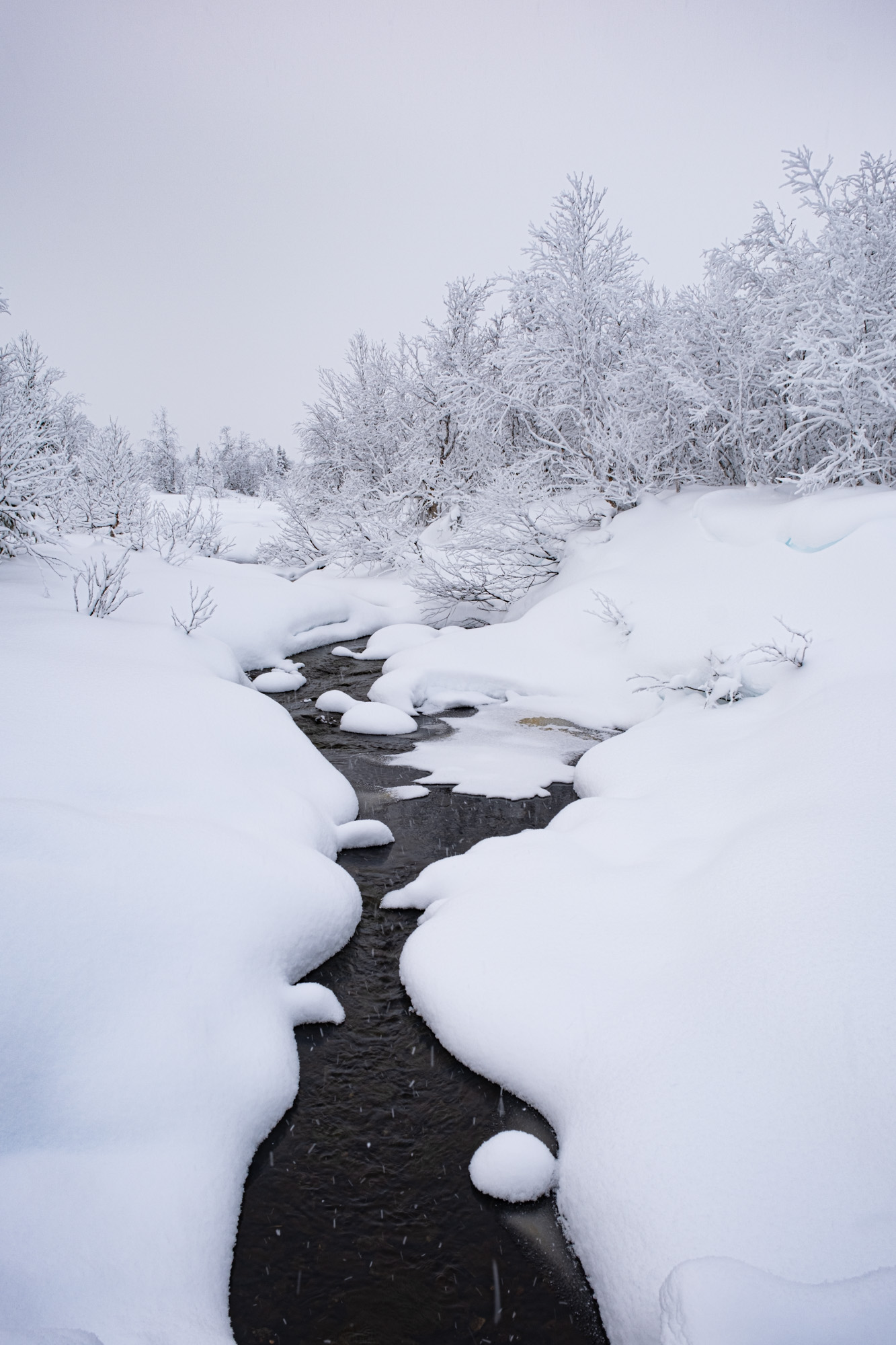 2024 01 01  xt 5   6492